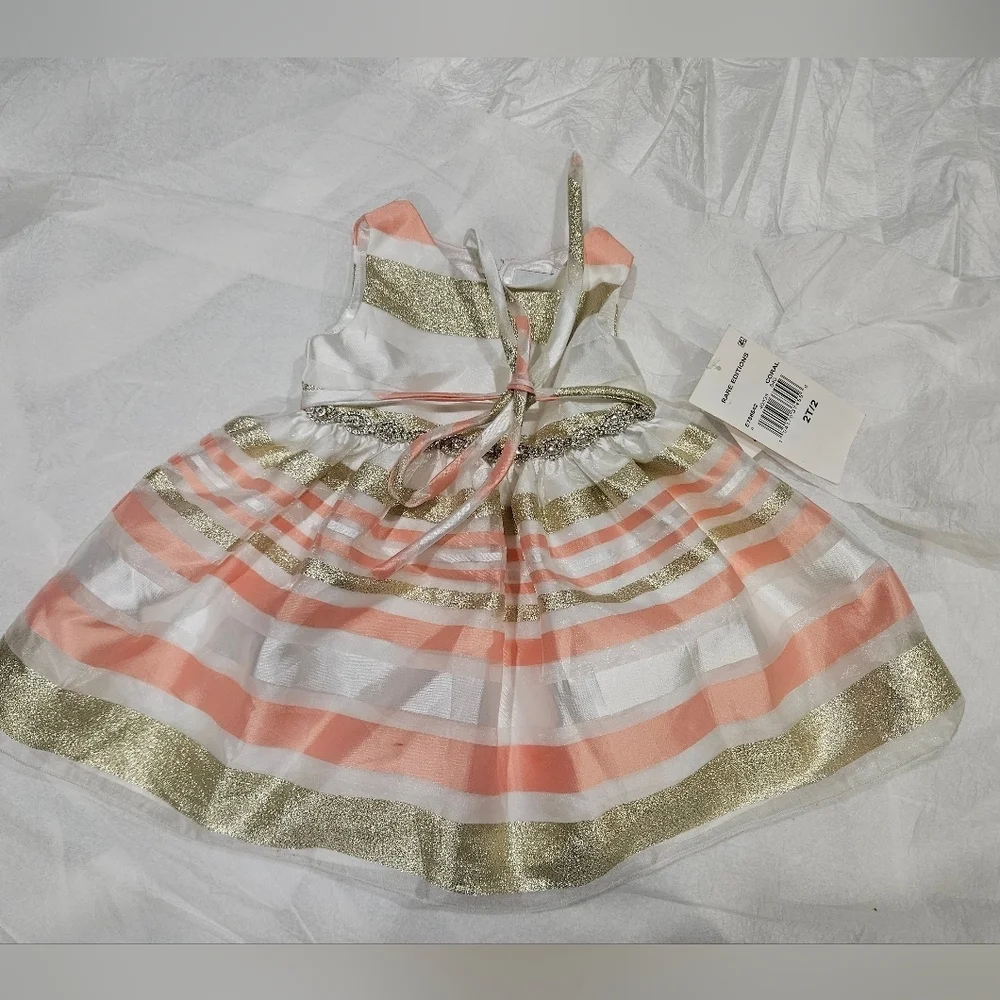 Rare Editions Holiday Dress SZ 2T
